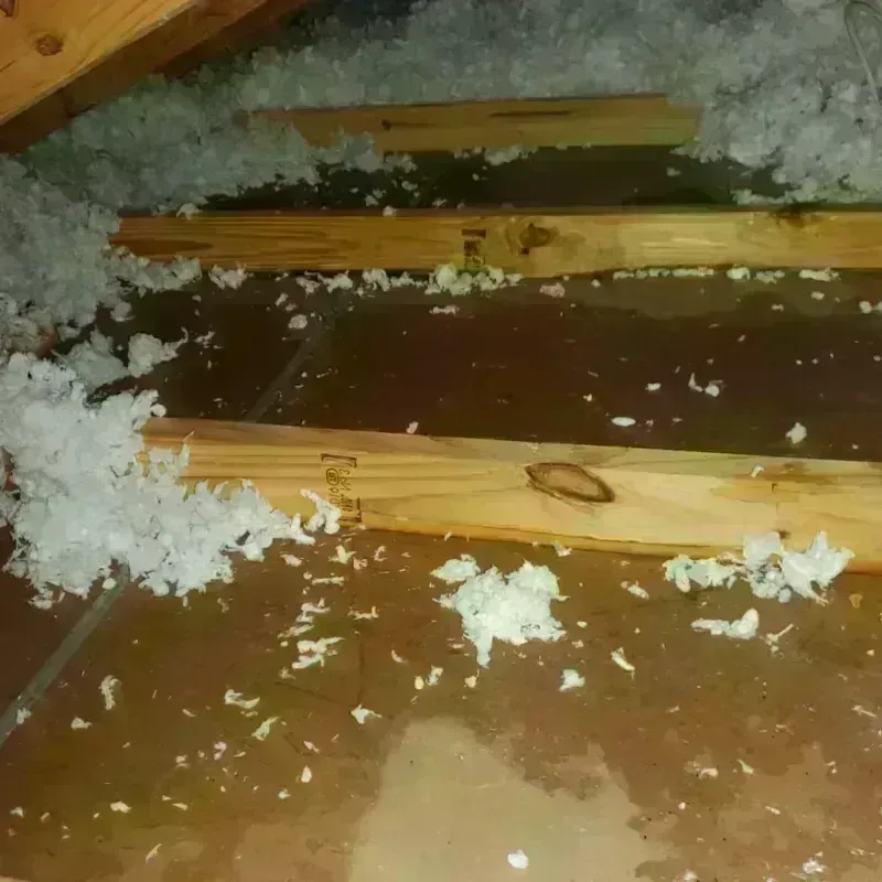 Attic Water Damage in Menard, TX