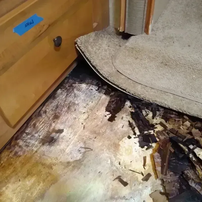 Wood Floor Water Damage in Menard, TX